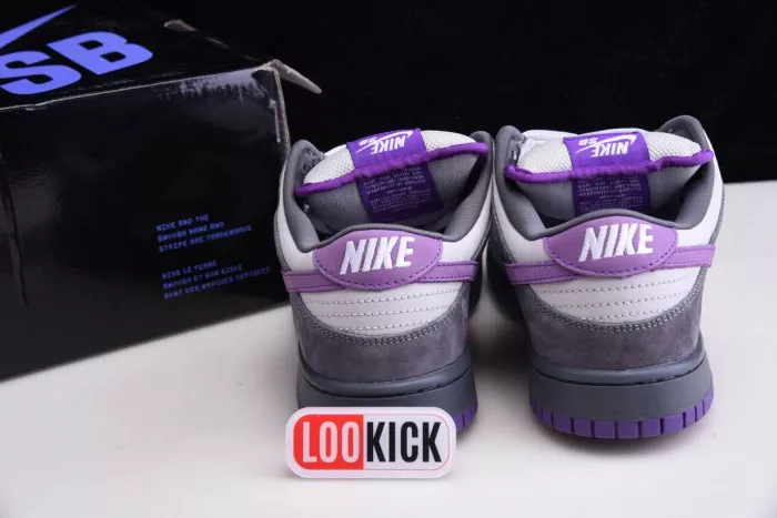 Rep Nike Dunk SB Low Purple Pigeon 304292-051 0117