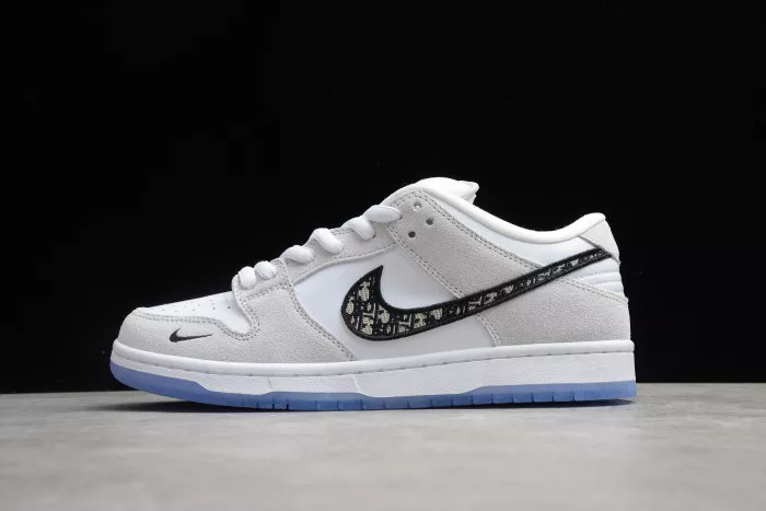 DR x Nike Dunk SB Low BQ6817-002 0120