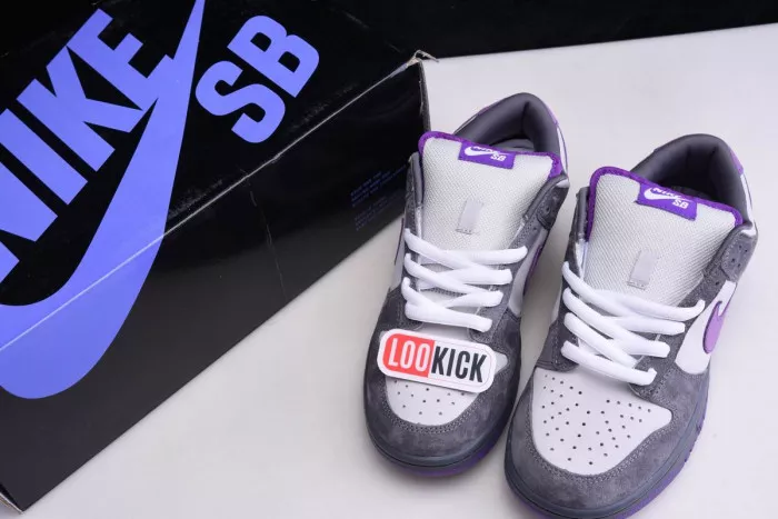 Rep Nike Dunk SB Low Purple Pigeon 304292-051 0117