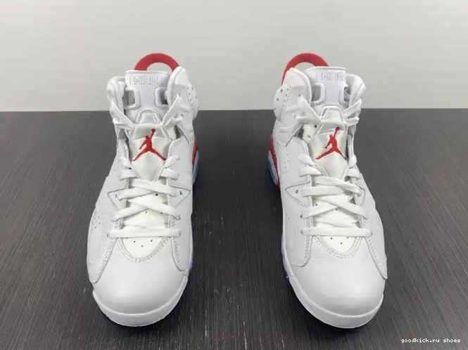 Rep Hare Jordan CT8529-162 6 Retro 0217