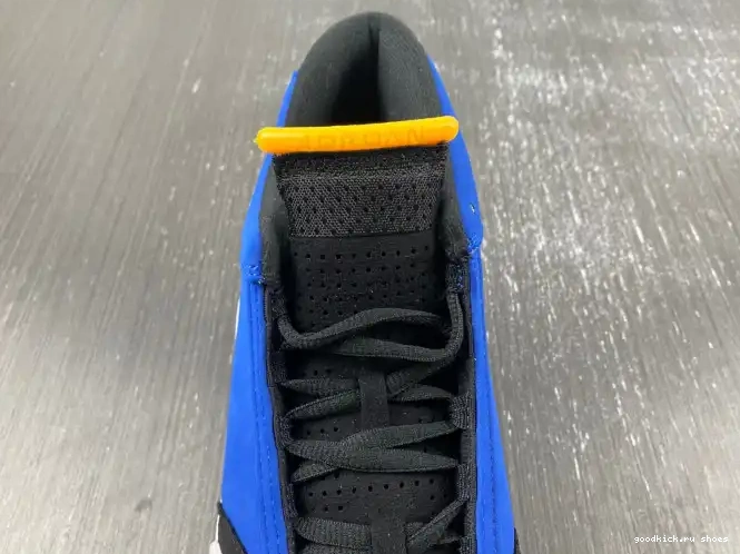 Cheap Laney 487471-407 Retro Jordan 14 0225