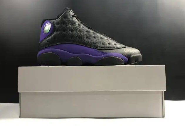 Rep 13 Jordan Court Air Purple DJ5982-015 0214