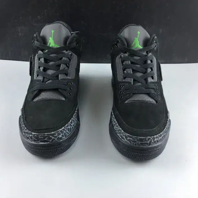 Rep Retro AJ3-902027 3 Jordan Duck Oregon Air 0209