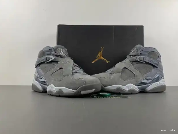Rep Grey Cool Jordan 305381-014 8 Retro 0317