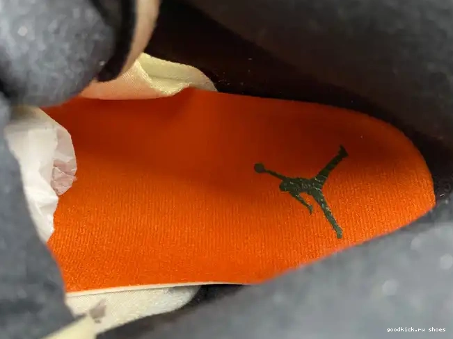 Rep Sail 5 SE Jordan FN7405-100 Air 0318
