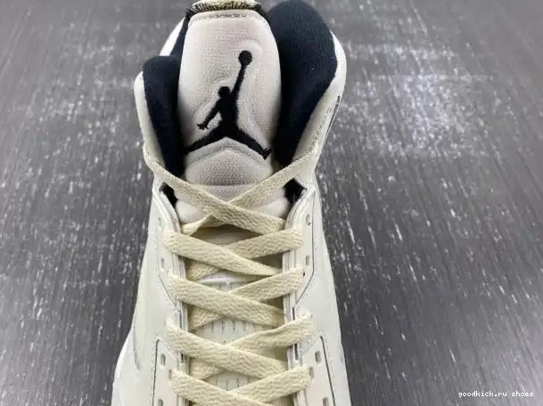 Rep Sail 5 SE Jordan FN7405-100 Air 0318