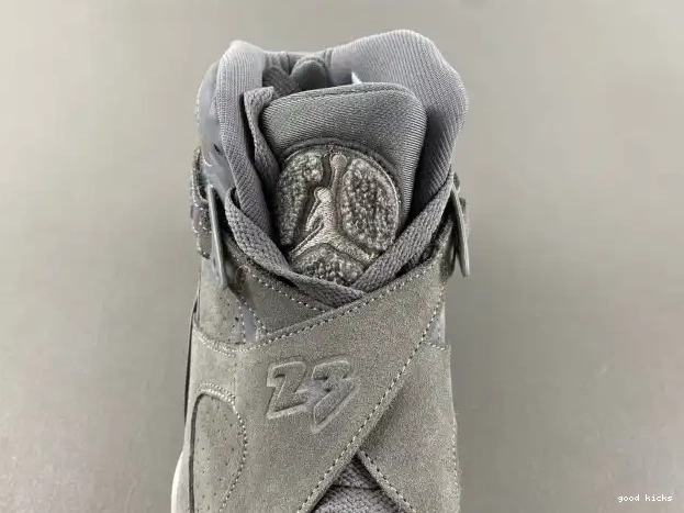 Rep Grey Cool Jordan 305381-014 8 Retro 0317