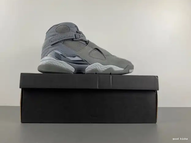 Rep Grey Cool Jordan 305381-014 8 Retro 0317